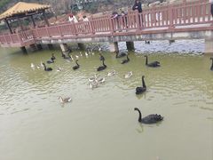 -无锡动物园·太湖欢乐园