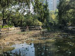 -星海公园(番禺区)