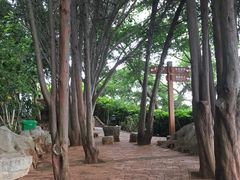 -南诏风情岛