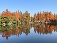 -尚湖风景区