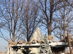 -安德鲁户外烧烤帐篷营地(马泉营店)