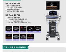 -东莞宠友24H宠物中心医院·转诊夜诊·异宠(新河北路院)