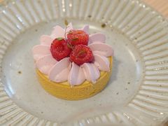 -猫里有甜