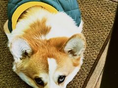 -肥朵食堂(带梦胡同店)