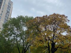 -木塔寺遗址生态公园