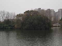 -新江湾城公园