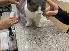 -爱侣宠医·鹦鹉专科·小型哺乳类·异宠专科(灵石路店)