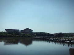 -溱湖国家湿地公园