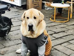 -荣阳楼(山塘街店)