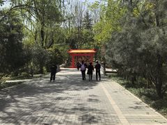 -洛阳市隋唐城遗址植物园