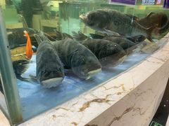 -旺顺阁海鲜广场(亚运村店)