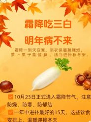 -雅曼妮spa美容养生