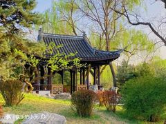-西海子公园