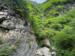 -青峰峡国家森林公园