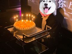 -文华会KTV(体育中心店)