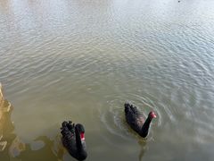 -宁波杭州湾国家湿地公园