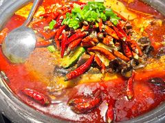 -探鱼·鲜青椒爽麻烤鱼(中山大信新都汇店)