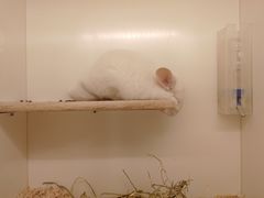 -龙猫仔乐园(惠福东路店)