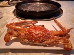 -越百海海鲜蒸锅(乐山店)