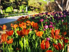 -长春公园(普阳街道)