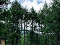 -白草畔自然风景区