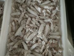 莱州人做的正宗莱州湾海鲜-三乐海鲜水饺馆