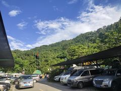 -西双版纳原始森林公园