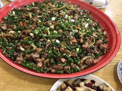 -东吴霸王兔(松青路店)