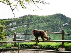 -峨眉山风景名胜区