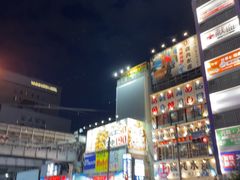 -秋叶原电器街