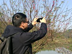 -南国桃园旅游度假区