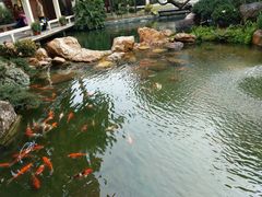 -番禺宾馆丽苑厅