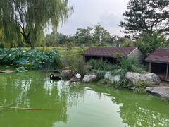 -燕郊植物园