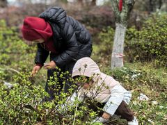 -游子山休闲旅游区