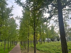 -汉长安城未央宫国家考古遗址公园