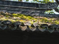-上海醉白池公园