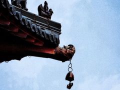 -杭州半山国家森林公园