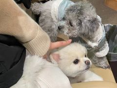 -落日营地·云泰小烤