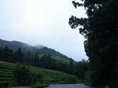 -午潮山国家森林公园