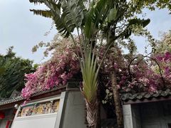 -深圳国际园林花卉博览园