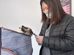 -我宠我爱动物医院·全科·中医骨外科专科店(新世界店)