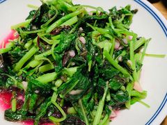 蒜泥红苋菜-7017浙菜•建德味(中财店)