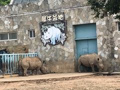 -无锡动物园·太湖欢乐园