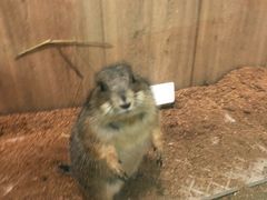 -藦茜花园宠物主题亲子互动体验馆(国顺东路店)