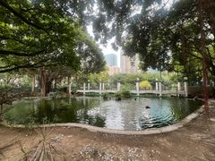 -九龙公园