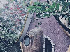 -疯狂屋