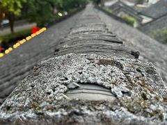 -水绘园