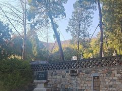 -泰山风景名胜区-普照寺