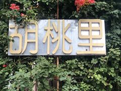 -胡桃里音乐酒馆(东区店)
