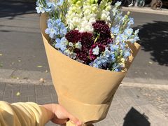 -花草间花行(法华镇路店)